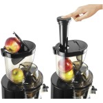 JS 8013 Slow juicer Catler