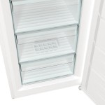 FN619EEW5 MRAZNIČKA ŠUPLÍKOVÁ GORENJE