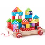 102190913 Vozík s kostkami 35dílů WOODY