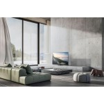 TV 55Z90BE6 OLED TV PANASONIC