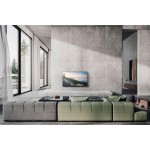 TV 65Z90BE6 OLED TV PANASONIC