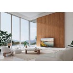 TV 55Z95BEG OLED TV PANASONIC