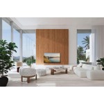 TV 55Z95BEG OLED TV PANASONIC