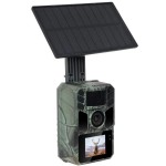 StrongVision Solar A fotopast EVOLVEO