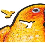 Playful Parrots (RS) puzzle UNIDRAGON