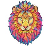 Mysterious Lion (KS) puzzle UNIDRAGON