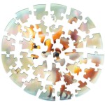 Fox Bubblezz puzzle UNIDRAGON