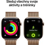 APPLE WATCH 11 46 GD TI GD ML ML CEL-MGP