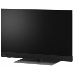 TV 42Z90BE6 OLED TV PANASONIC