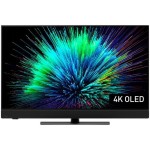 TV 48Z90BE6 OLED TV PANASONIC