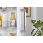 RP619EEW5 CHLADNIČKA MONOK. GORENJE