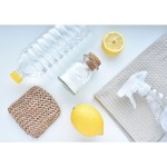 RP619EEW5 CHLADNIČKA MONOK. GORENJE