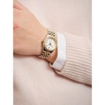 G181102 SUSSEX MINI BIJOU-BCG GANT Time