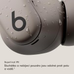 Beats Powerbeats Fit - Gravel Grey