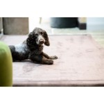 MOM 12 Kob KÁVOVÝ 200 x 300 cm MOMOMI