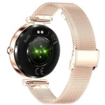 Seinna HR+ Rosegold CARNEO