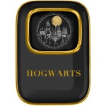 Harry Potter Hogwarts Slide TWS OTL