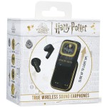 Harry Potter Hogwarts Slide TWS OTL