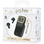 Harry Potter Hogwarts Slide TWS OTL