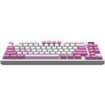 FORGE GK600 TKL Wrl Violet MSI