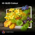 32S5Q QLED TV HISENSE