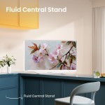 32S5Q QLED TV HISENSE