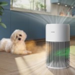 AC2220/10 NÁHR. FILTR ČIST.VZDCH PHILIPS