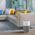 AC2220/10 NÁHR. FILTR ČIST.VZDCH PHILIPS