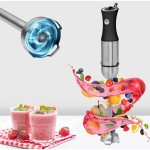 SM 1094 TYČOVÝ MIXÉR PROFICOOK