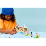 42696 Veterin. klinika se zvířátky LEGO