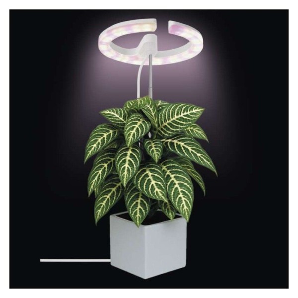 LED GROW pěstební lampa 8 W, časovač, stmívatelná, bílá