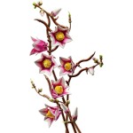 11510 Větvičky magnólie LEGO