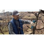 Pro Nůžky AKU ProPruner set 0.601. BOSCH