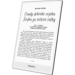 1030 InkPad One Matte Black POCKETBOOK