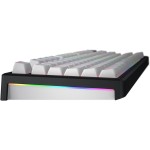 Skyfall 80 Wrl Keyboard US White HATOR