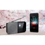 DR-520GY FM/DAB/BT RADIOPŘIJÍMAČ SHARP