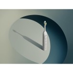 HX4042/41 SONICARE ZUB. KARTÁČEK PHILIPS