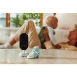 DREAM DUO BEDTIME BLUE OWLET