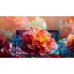 55E7S QLED TV HISENSE