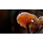 40A5S QLED TV HISENSE