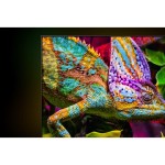 85U7SE QLED TV HISENSE