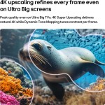 75NU8E0B3LA NANO 4K UHD AI TV LG