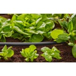 MDS Trubka poklád. Flex 13mm 50m GARDENA