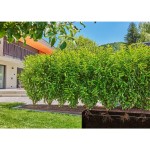 MDS Start set živý plot 25m GARDENA