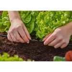 MDS T-kus 4,6mm GARDENA