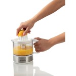 CJ30E LIS NA CITRUSY GORENJE