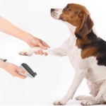 PETCARE STATION PRO TQ500 TESLA