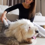 PETCARE STATION PRO TQ500 TESLA