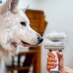 PETCARE STATION PRO TQ500 TESLA