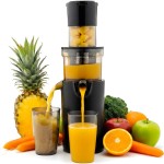 SJ500 XL SLOWJUICER TESLA